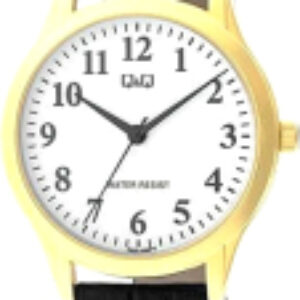 Часы наручные мужские C02AJ008Y 21век