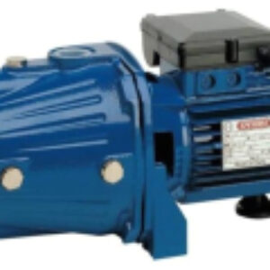 Поверхностный насос CAM 100-HL / SPRN101161330 21век