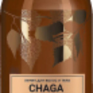 Гель для душа Chaga Ежедневный уход и очищение 21век