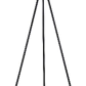 Торшер Charmaine TL1624F-01BG 21век