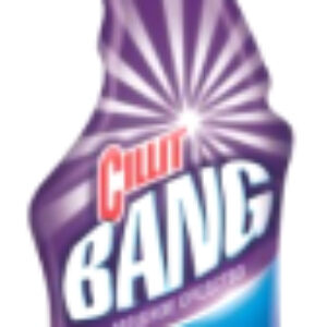 Чистящее средство для ванной комнаты Спрей Мегаблеск + Защита 21век