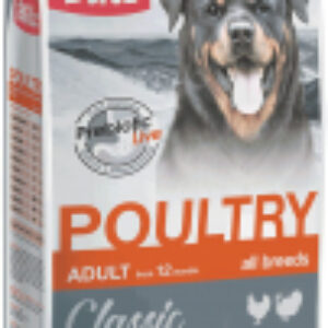 Сухой корм для собак Classic Adult Dog Poultry / 4159 21век