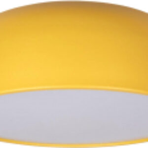 Потолочный светильник Coin 10201/480 21век