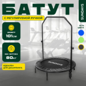 Батут D101 21век