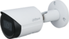 IP-камера DH-IPC-HFW2230SP-S-0360B-S2 21век