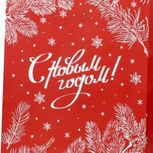 Пакет подарочный Dream Cards Сияющий иней / ПКП-6697 21век