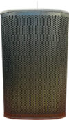 Сценический монитор DS15W 21век