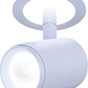 Спот DSR002 9W 6500K 21век