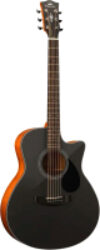 Акустическая гитара EAC Black / A146977 21век
