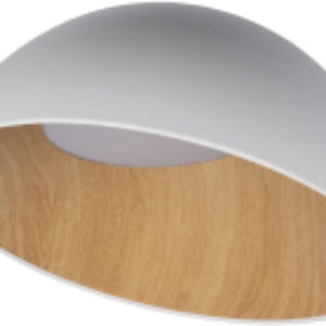 Потолочный светильник Egg 10197/500 21век