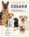 Книга Собаки. Иллюстрированный гид 21век