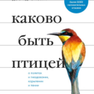 Книга Каково быть птицей: о полетах и гнездовании