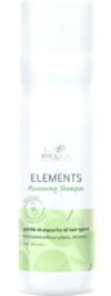 Шампунь для волос Elements Renew 21век