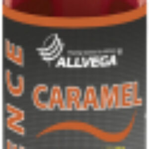 Ароматизатор рыболовный Essence Caramel / ARESS100-CA 21век