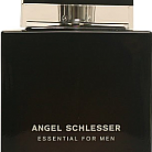 Туалетная вода Essential Men 21век