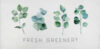 Полотенце Eucalyptus / 5472925 21век