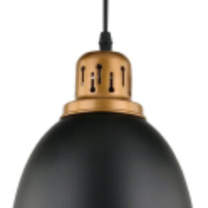 Потолочный светильник Eurica A4245SP-1BK 21век