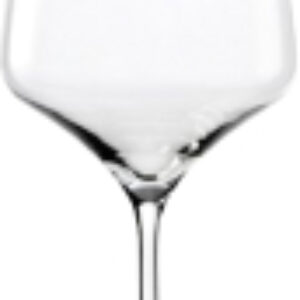 Бокал Experience Burgunder 2200000 21век