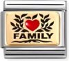Звено для браслета Family с красным сердцем 030289/07 21век