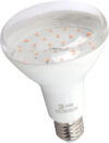 Лампа для растений FITO-15W-Ra90-E27 / Б0039173 21век