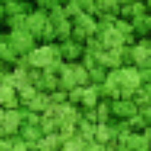 Фотофасад Зелень / FotoSetka-600-16 21век