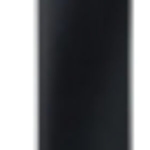 Презентер Fstyler LP15 Radio USB 21век