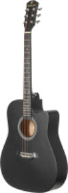 Акустическая гитара FT-221-BK 21век