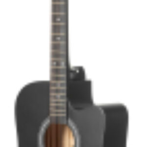 Акустическая гитара FT-221-BK 21век