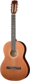 Акустическая гитара GC-BN20-G-4/4 21век