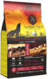 Сухой корм для собак Grain Free для всех пород с говядиной и лососем / U/ABS12 21век