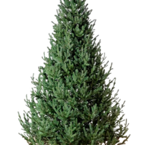 Ель искусственная Элоди 21век