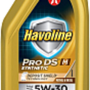 Моторное масло Havoline ProDS M 5W30 / 804036NKE 21век