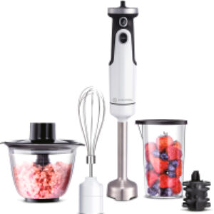 Блендер погружной HBS-0651 21век