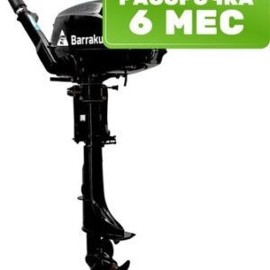 Мотор лодочный HD4FHWS 21век