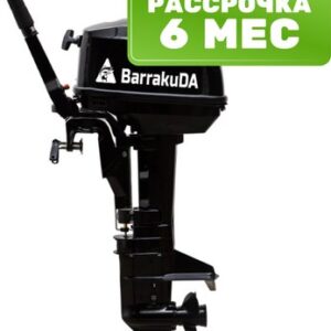 Мотор лодочный HD9.8FHS 21век