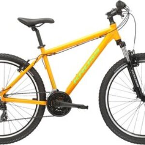 Велосипед Hexagon 1.0 M 26 S ora_gre g / KRHE1Z26X17M006766 21век