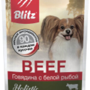 Влажный корм для собак Holistic Beef / 4552 21век