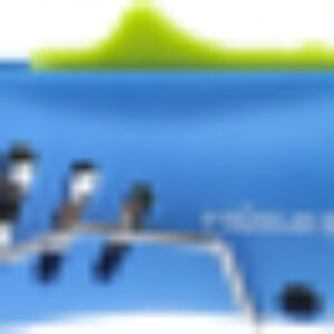 Паяльник газовый HT2C401 21век