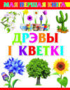 Развивающая книга Дрэвы i кветкi 21век