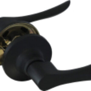 Ручка дверная Isparus ЗВ3-05 21век