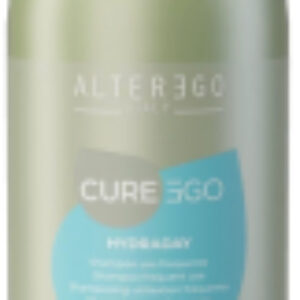 Шампунь для волос Italy Curego Hydraday Frequent Use 21век