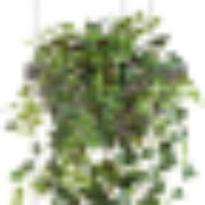 Потолочный светильник Jardin 10121/1P 21век