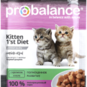 Влажный корм для кошек Kitten 1'st Diet c кроликом в желе 21век