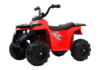 Детский квадроцикл L222LL 21век