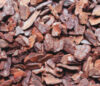 Мульча для растений Кора деревьев хвойных пород средняя галтованная 21век