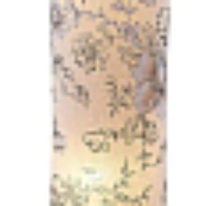 Торшер LGO Cottonwood LSP-0503 21век