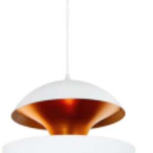 Потолочный светильник LOFT2213-B 21век