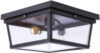 Потолочный светильник LOFT3110-2C 21век