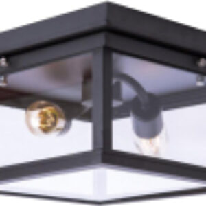 Потолочный светильник LOFT3110-2C 21век
