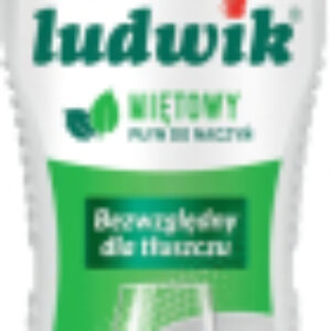 Средство для мытья посуды Мята 21век